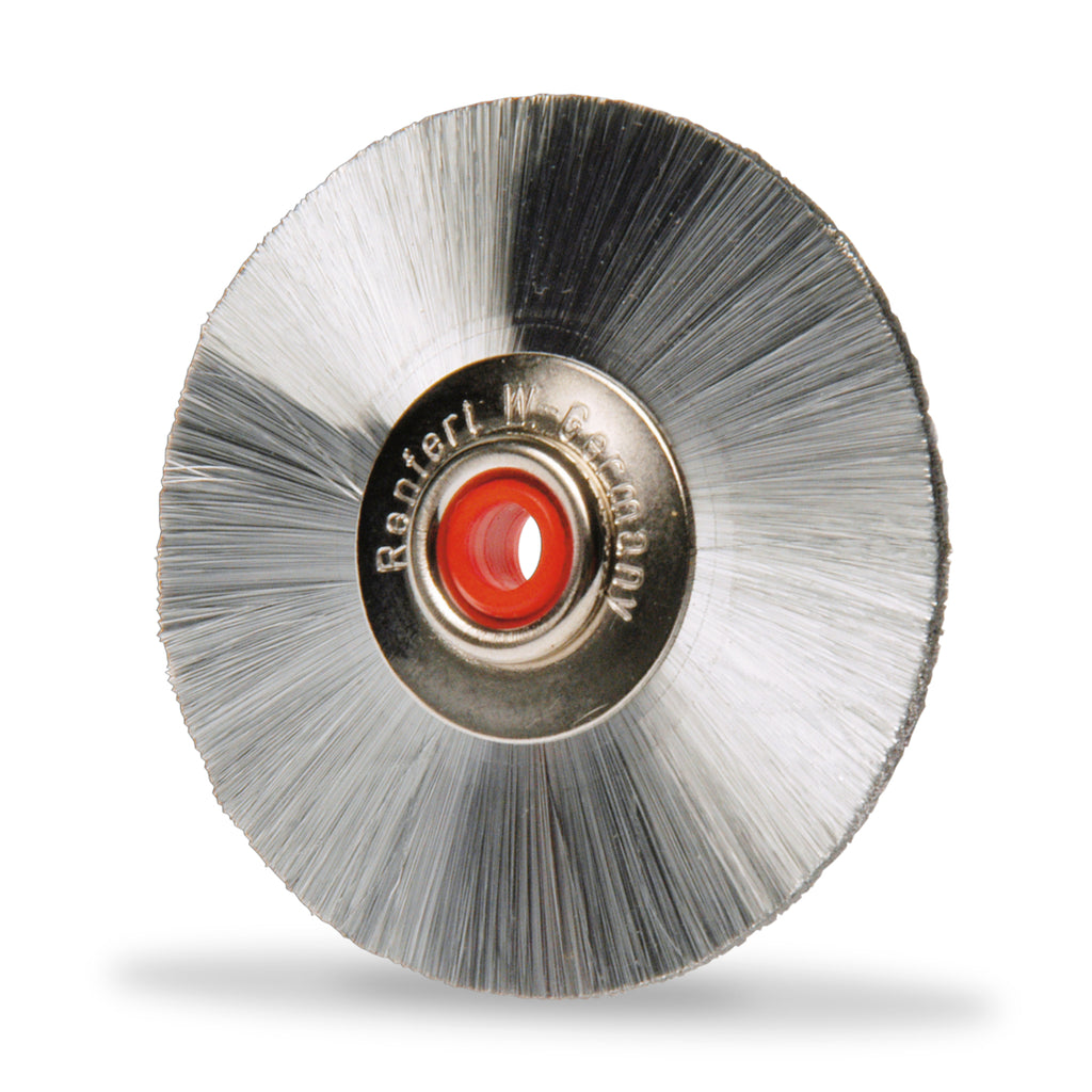 Cepillo de Cerdas de Plata (2 pzas.)